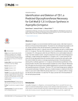 Identification and Deletion of Tft1, a Predicted Glycosyltransferase Necessary for Cell Wall β-1,3;1,4-Glucan Synthesis in Aspergillus fumigatus