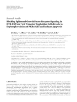 Blocking Epidermal Growth Factor Receptor Signaling in HTR-8/SVneo First Trimester Trophoblast Cells Results in Dephosphorylation of PKBα/AKT and Induces Apoptosis