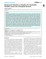 Background Selection as Baseline for Nucleotide Variation across the Drosophila Genome