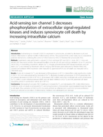 Acid-sensing ion channel 3 decreases phosphorylation of extracellular signal-regulated kinases and induces synoviocyte cell death by increasing intracellular calcium