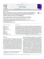 Retroviral-infection increases tumorigenic potential of MDA-MB-231 breast carcinoma cells by expanding an aldehyde dehydrogenase (ALDH1) positive stem-cell like population