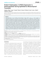 Prolyl-4-Hydroxylase 3 (PHD3) Expression Is Downregulated during Epithelial-to-Mesenchymal Transition