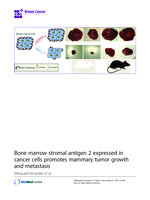 Bone marrow stromal antigen 2 expressed in cancer cells promotes mammary tumor growth and metastasis