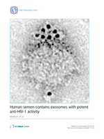 Human semen contains exosomes with potent anti-HIV-1 activity