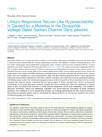 Lithium-Responsive Seizure-Like Hyperexcitability Is Caused by a Mutation in the Drosophila Voltage-Gated Sodium Channel Gene paralytic