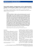 Sequential adaptive introgression of the mitochondrial genome in Drosophila yakuba and Drosophila santomea