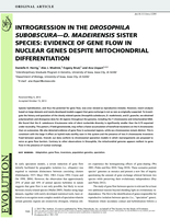Introgression in the Drosophila subobscura - D. Madeirensis sister species: evidence of gene flow in nuclear genes despite mitochondrial differentiation