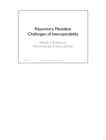Repository Metadata: Challenges of Interoperability