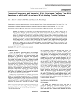 Conserved Sequences and Secondary RNA Structures Confirm That H19 Functions as a pri-miRNA and as an RNA-binding Protein Platform