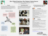 How Clinical Experience May Enhance Liaison Success