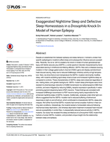 Exaggerated Nighttime Sleep and Defective Sleep Homeostasis in a Drosophila Knock-In Model of Human Epilepsy
