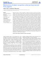 Mechanisms of object recognition: what we have learned from pigeons