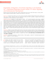 Essentiality of Regulator of G Protein Signaling 6 and Oxidized Ca2+/Calmodulin-Dependent Protein Kinase II in Notch Signaling and Cardiovascular Development