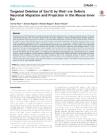 Targeted Deletion of Sox10 by Wnt1-cre Defects Neuronal Migration and Projection in the Mouse Inner Ear