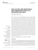 Inner ear hair cells deteriorate in mice engineered to have no or diminished innervation
