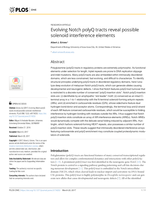 Evolving Notch polyQ tracts reveal possible solenoid interference elements