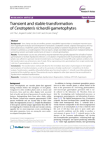 Transient and Stable Transformation of Ceratopteris Richardii Gametophytes