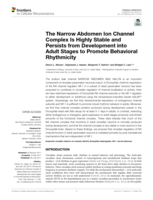 The Narrow Abdomen Ion Channel Complex Is Highly Stable and Persists from Development into Adult Stages to Promote Behavioral Rhythmicity