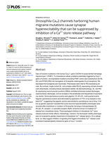 Drosophila CaV2 channels harboring human migraine mutations cause synapse hyperexcitability that can be suppressed by inhibition of a Ca2+ store release pathway