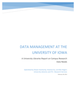 Data Management at the University of Iowa: A University Libraries Report on Campus Research Data Needs