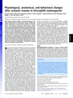 Physiological, anatomical, and behavioral changes after acoustic trauma in Drosophila melanogaster