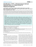 Identification of Rtl1, a Retrotransposon-Derived Imprinted Gene, as a Novel Driver of Hepatocarcinogenesis