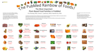 The Most Important Plant-Based Food Families in PubMed
