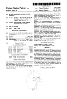 Human drug delivery device for tinnitus