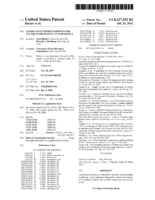 Alternative export pathways for vector expressed RNA interference