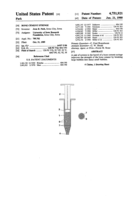 Bone cement syringe