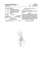 Wrist prosthesis