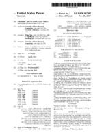Chimeric adeno-associated virus/ bocavirus parvovirus vector