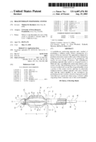 Brachytherapy positioning system