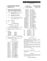 Adeno-associated virus vectors with intravector heterologous terminal palindromic sequences