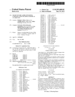 Use of nucleic acids containing unmethylated CpG dinucleotide as an adjuvant