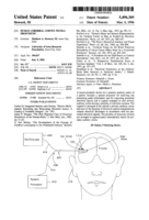Human cerebral cortex neural prosthetic
