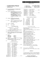 RNA interference in respiratory epithelial cells