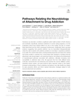 Pathways Relating the Neurobiology of Attachment to Drug Addiction