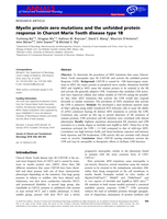 Myelin protein zero mutations and the unfolded protein response in Charcot Marie Tooth disease type 1B