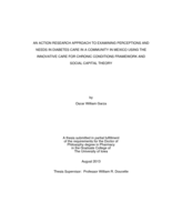 An Action Research Approach to Examining Perceptions and Needs in Diabetes Care in a Community in Mexico Using the Innovative Care for Chronic Conditions Framework and Social Capital Theory