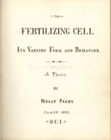 The fertilizing cell, its varying form and behavior