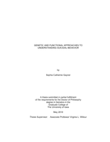 Genetic and functional approaches to understanding suicidal behavior