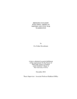 Bringing daylight with them: American writers and Civil War Washington