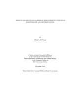 Molecular and cellular basis of hematopoietic stem cells maintenance and differentiation