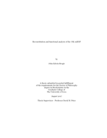 Reconstitution and functional analysis of the 7SK snRNP