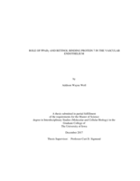 Role of PPARγ and retinol binding protein 7 in the vascular endothelium