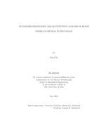 Automated delineation and quantitative analysis of blood vessels in retinal fundus image