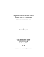 The effects of habitat fragmentation on Amorpha canescens, a prairie forb, and its associated herbivores