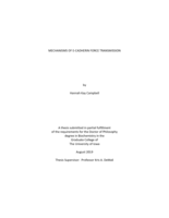 Mechanisms of E-cadherin force transmission