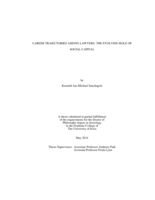 Career trajectories among lawyers: the evolving role of social capital